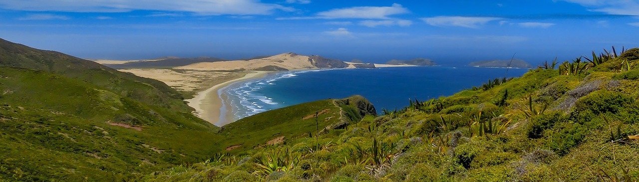 a picture of new zealands landscape and coast